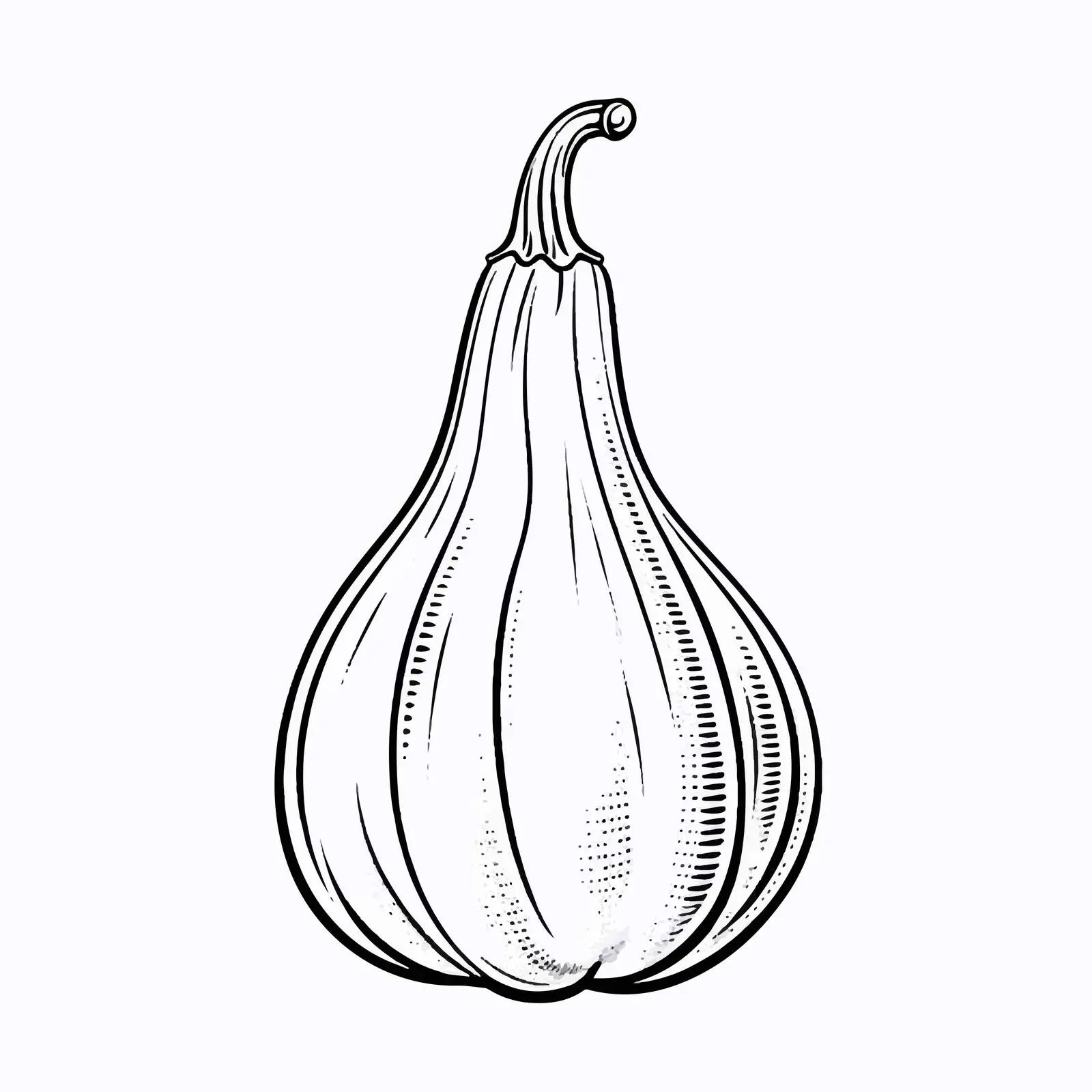 Wax Gourd Outline Vector Illustration – free asian cuisine image from Dotvec