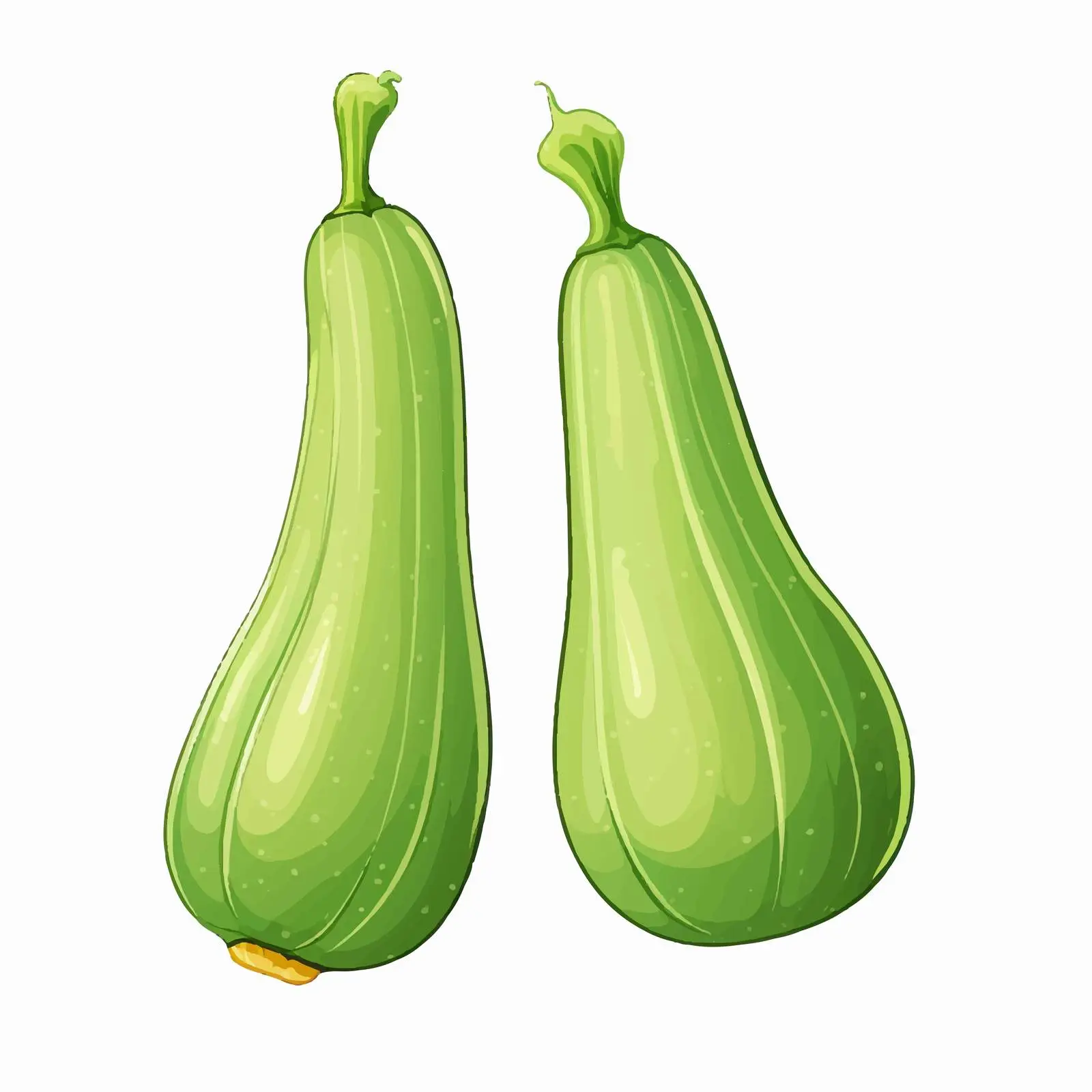 Outline Vector Illustration of Wax Gourd — free download from Dotvec
