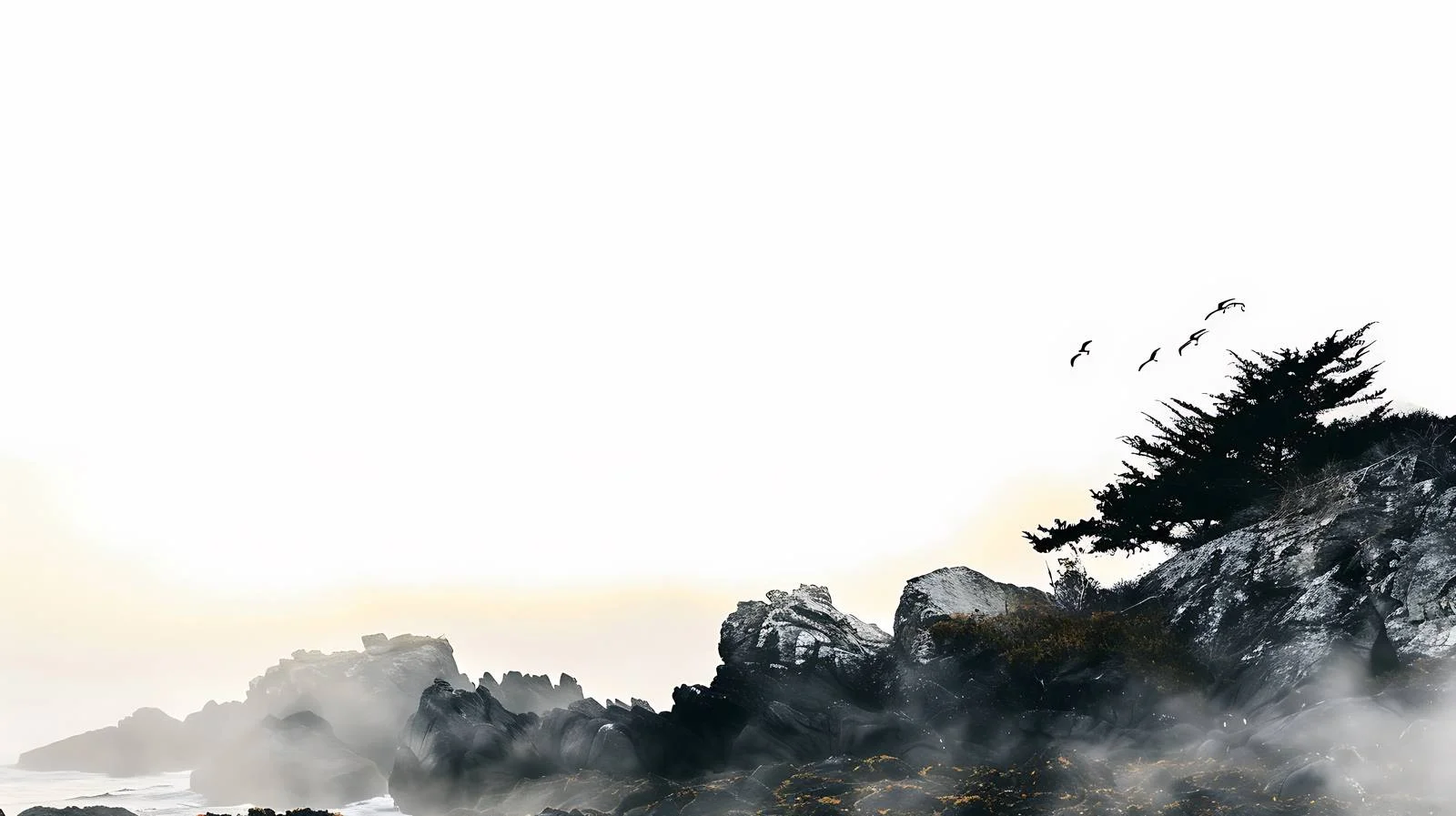 Coastal Dawn Background Image — free download from Dotvec