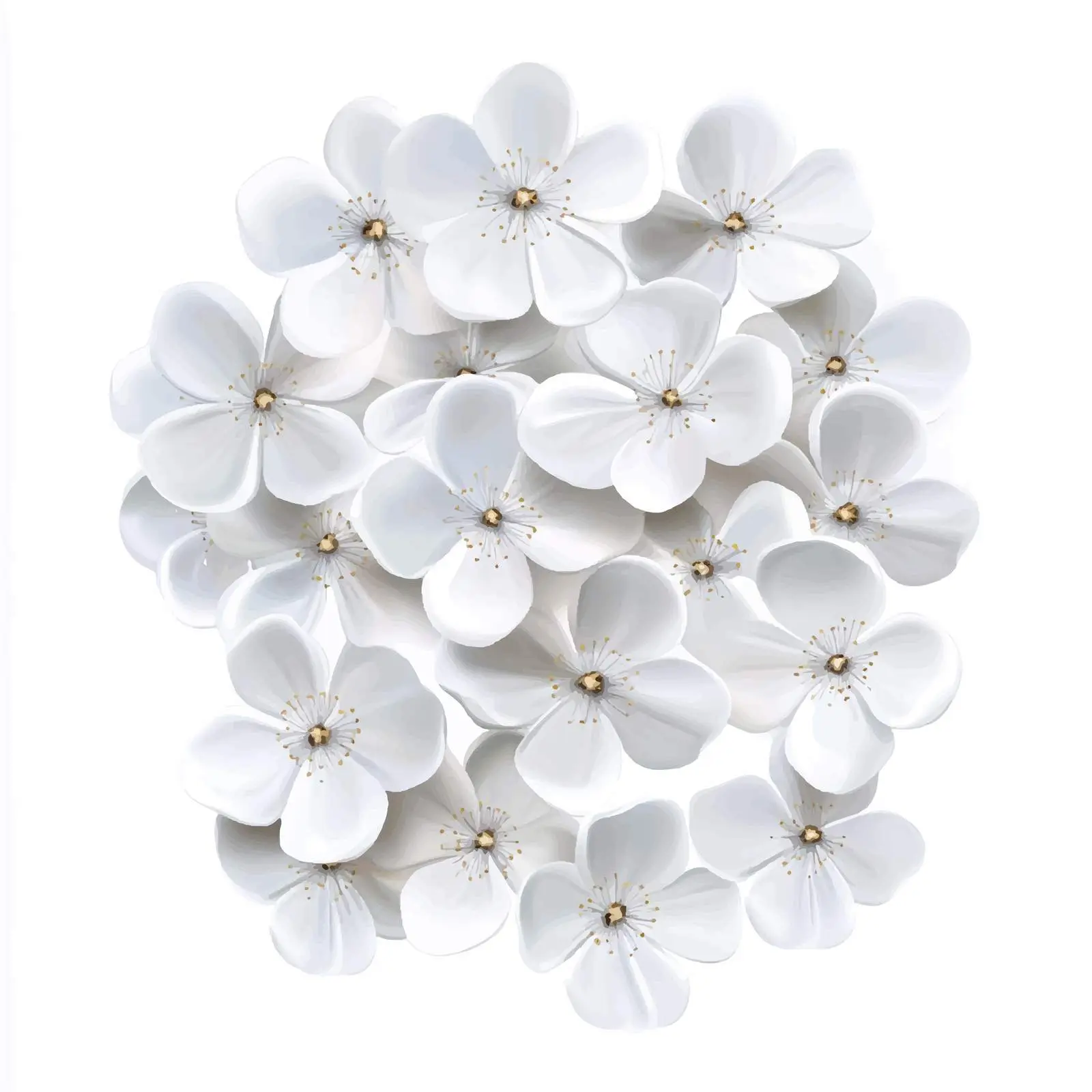 Isolated White Flowers Vector Illustration – free flower silhouette image from Dotvec