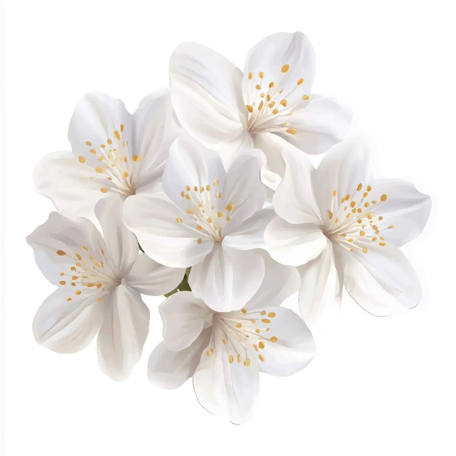 Isolated White Flower Vector Design — free download from Dotvec