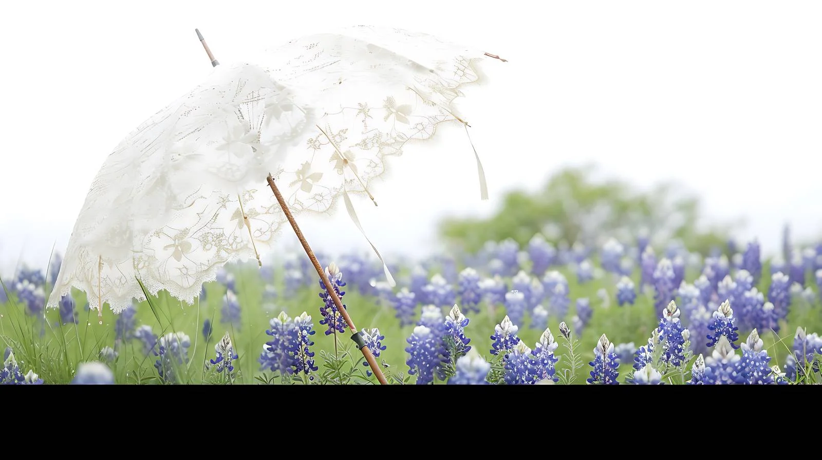 Elegant lace parasol amid Texas bluebonnets — free download from Dotvec