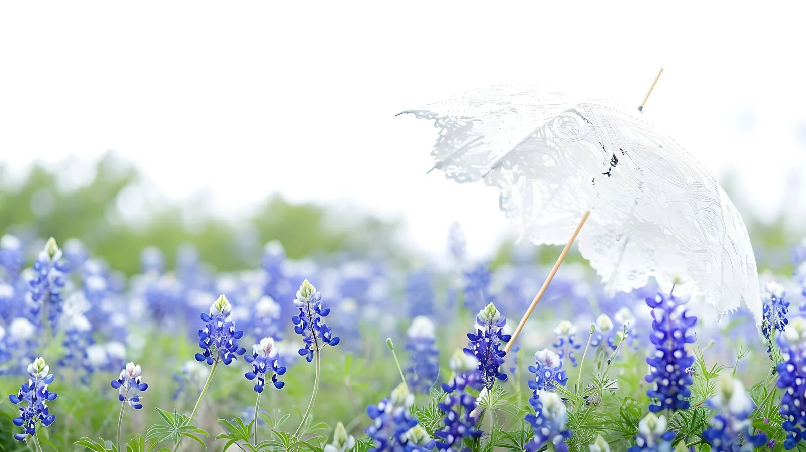 Elegant White Lace Parasol Amid Texas Bluebonnets — free download from Dotvec