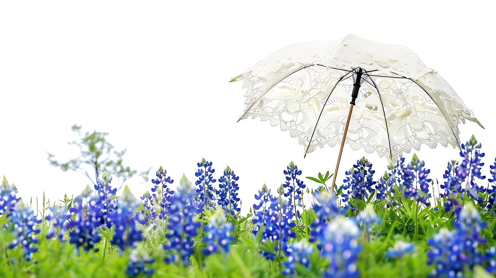 Elegant White Lace Parasol amid Texas Bluebonnets — free download from Dotvec
