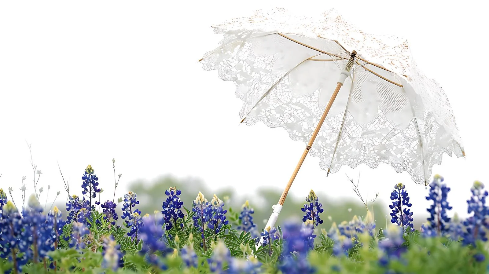 Vintage White Lace Parasol Amid Texas Bluebonnets — free download from Dotvec