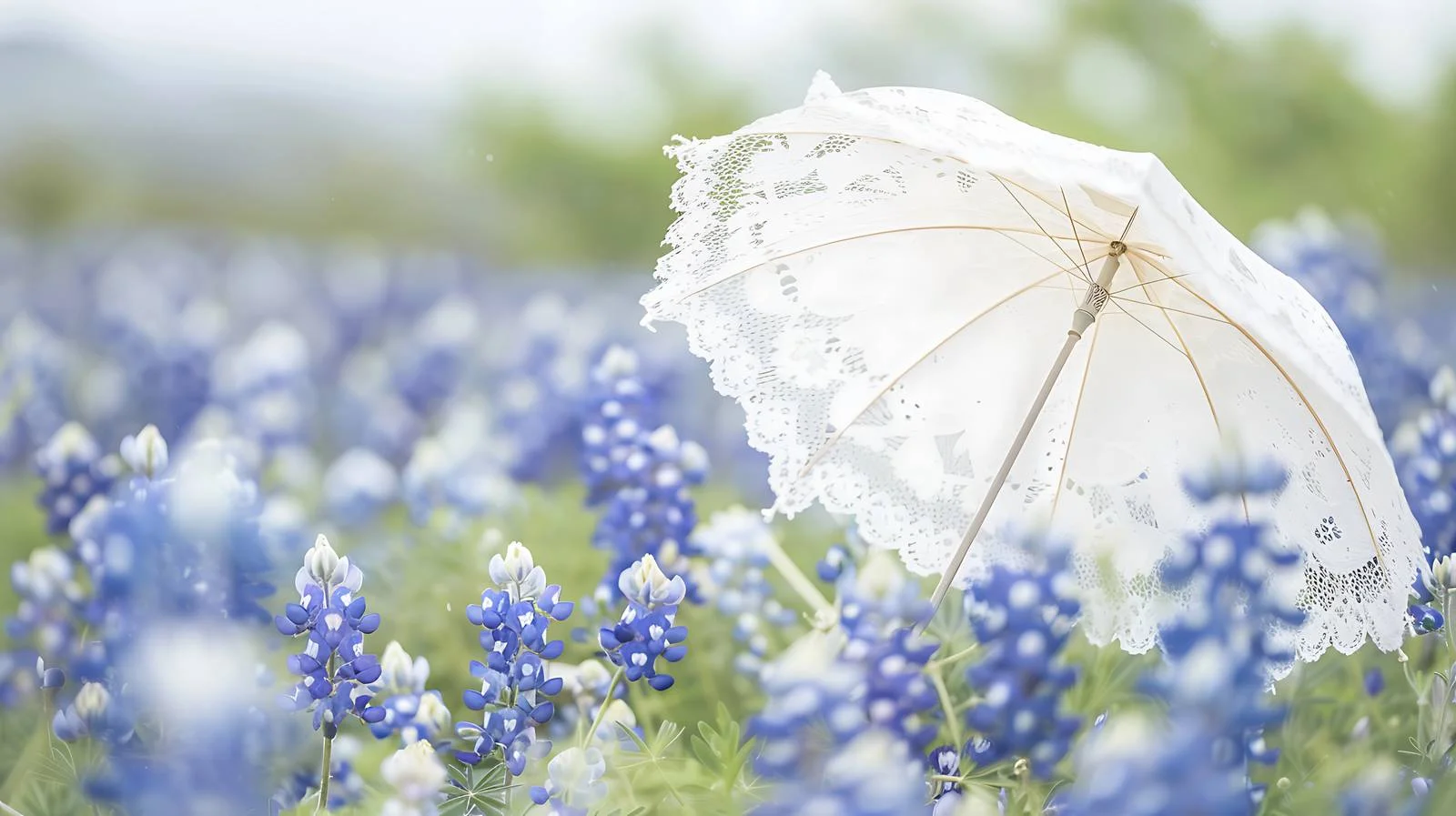 Elegant white lace parasol overturned in Texas field — free download from Dotvec