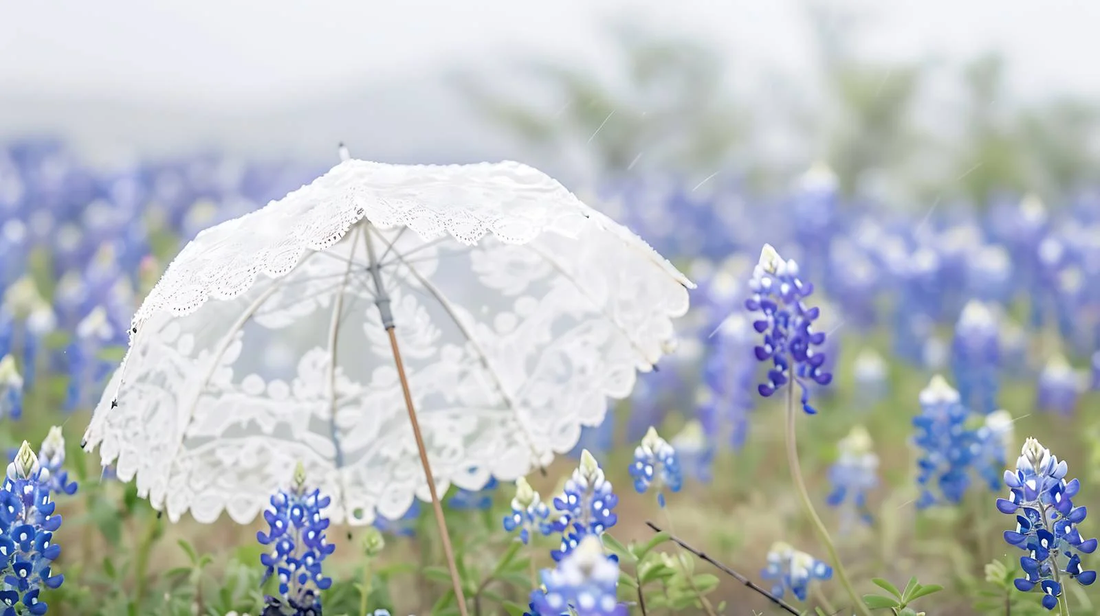 Elegant White Lace Parasol in Texan Field — free download from Dotvec