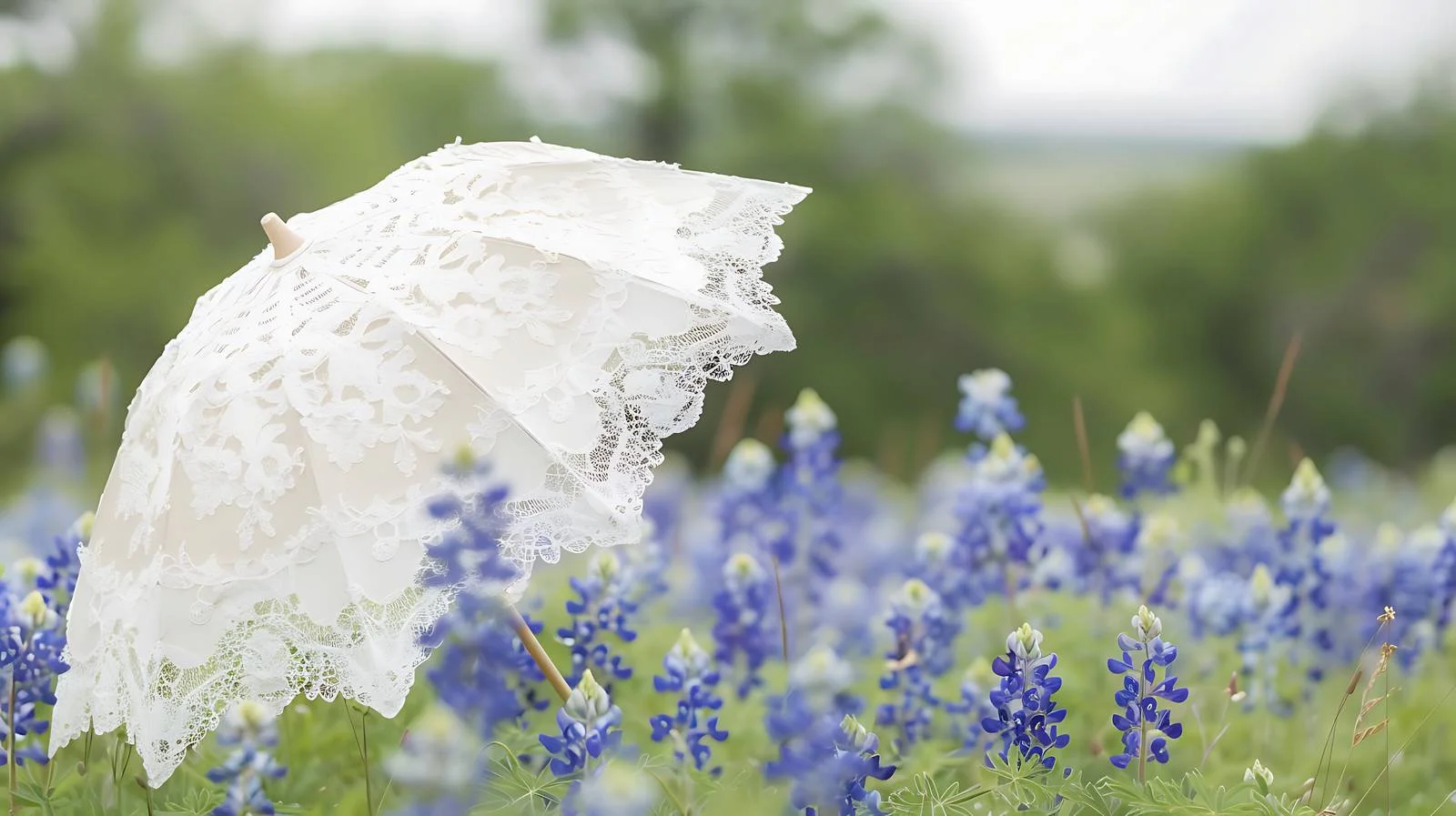 Graceful white lace parasol amidst Texas field — free download from Dotvec