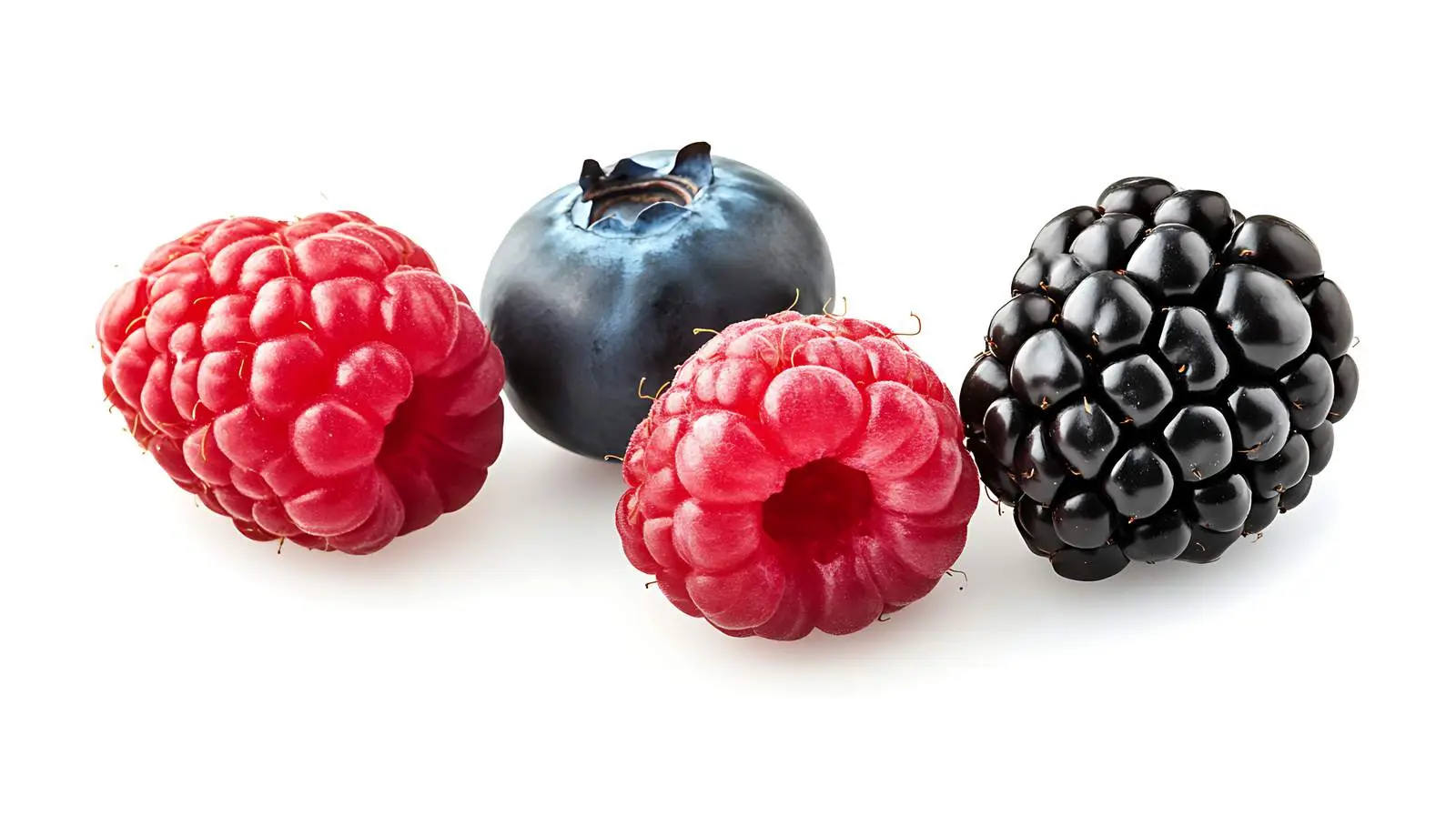 Wild Berries Mix — free download from Dotvec