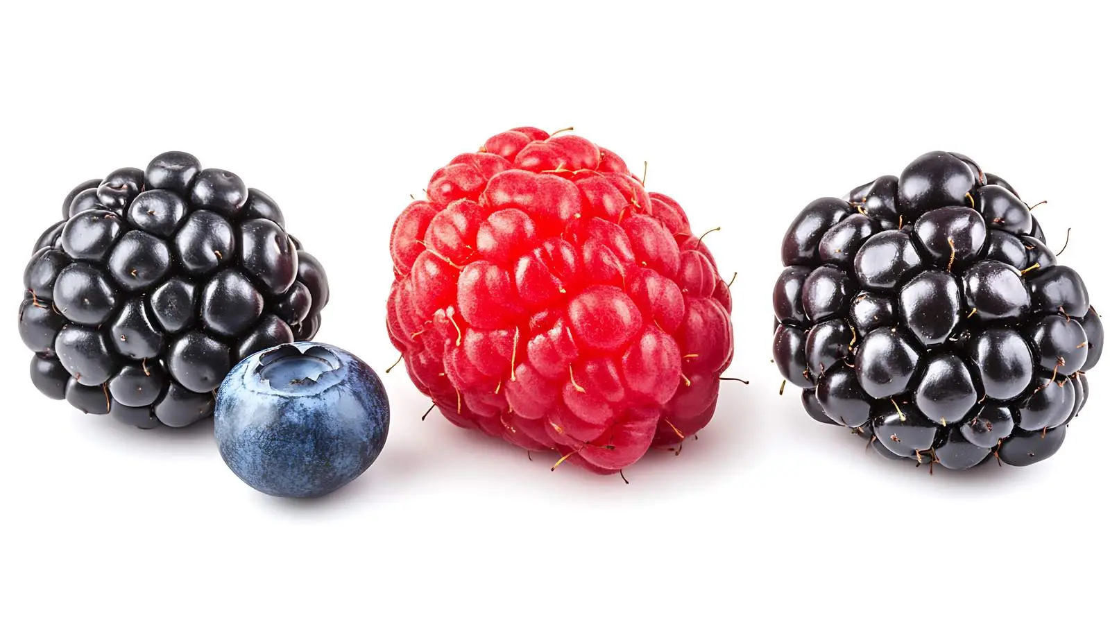 Mixed Wild Berries Image — free download from Dotvec