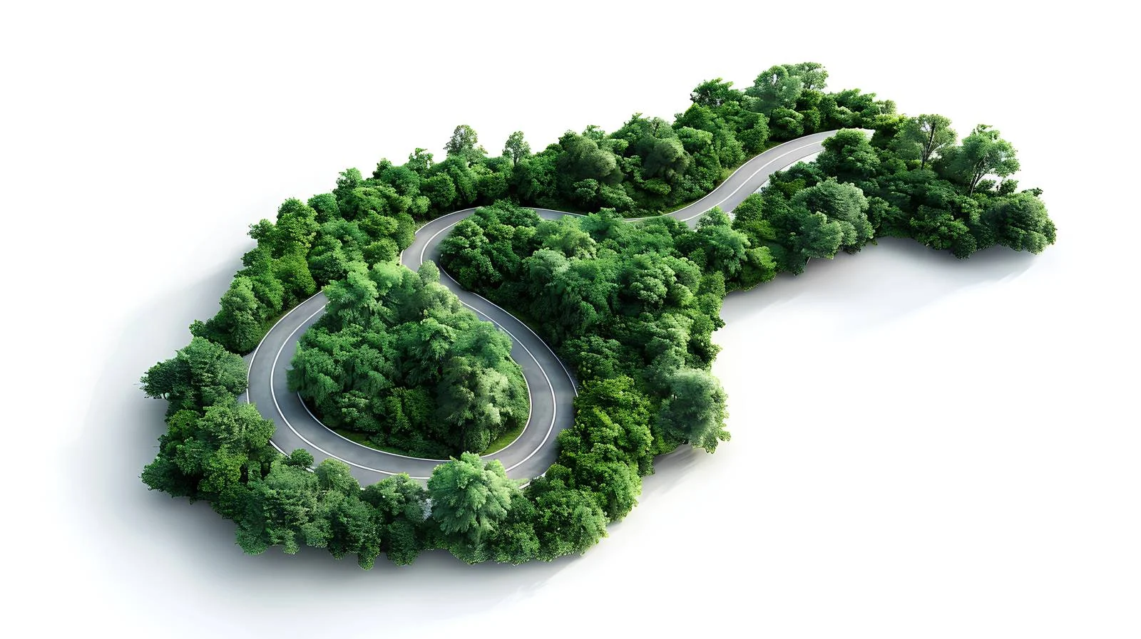 Aerial View of Serpentine Forest Road — free download from Dotvec