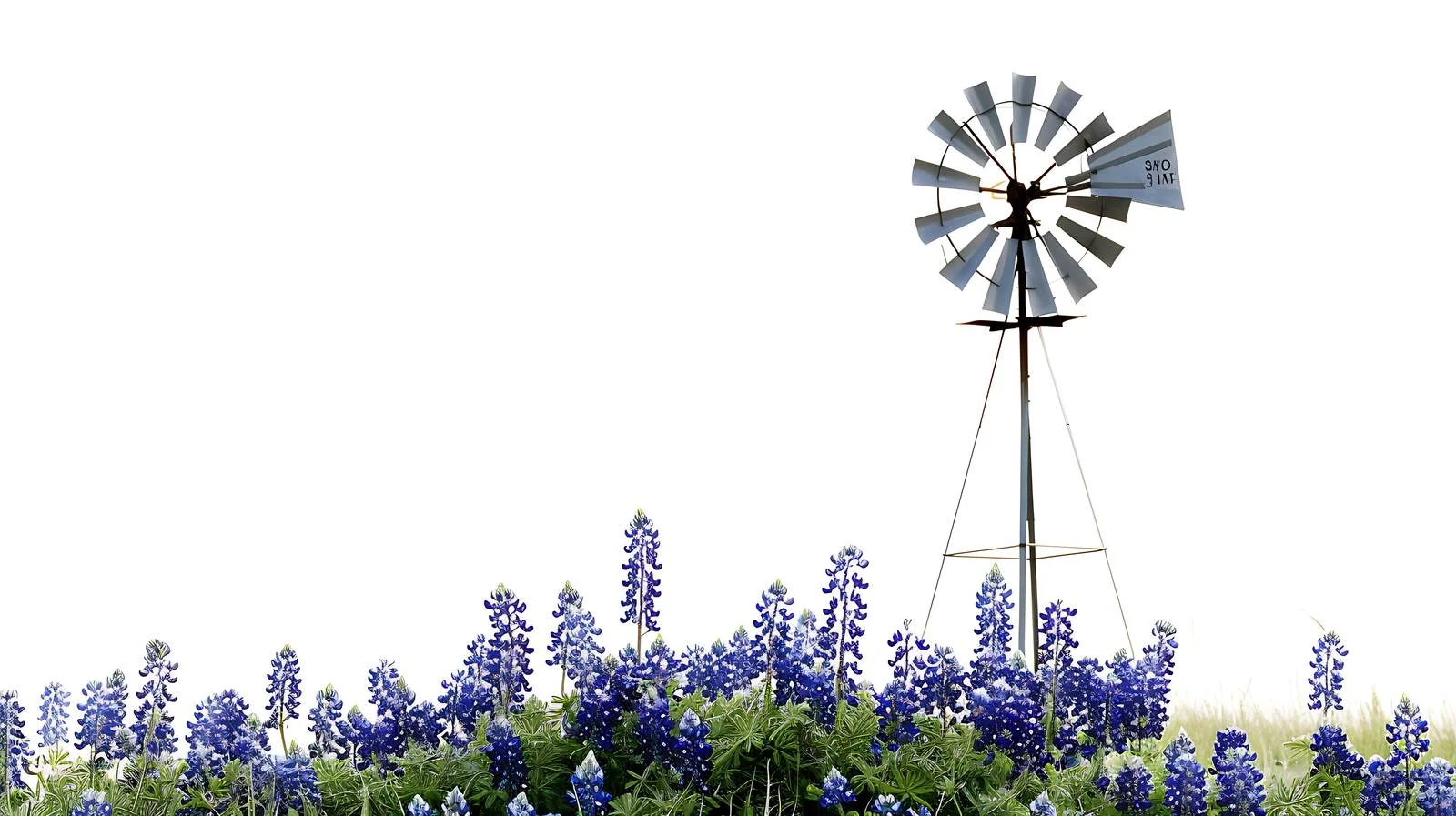 Iconic Windmill Amidst Texas Bluebonnets — free download from Dotvec