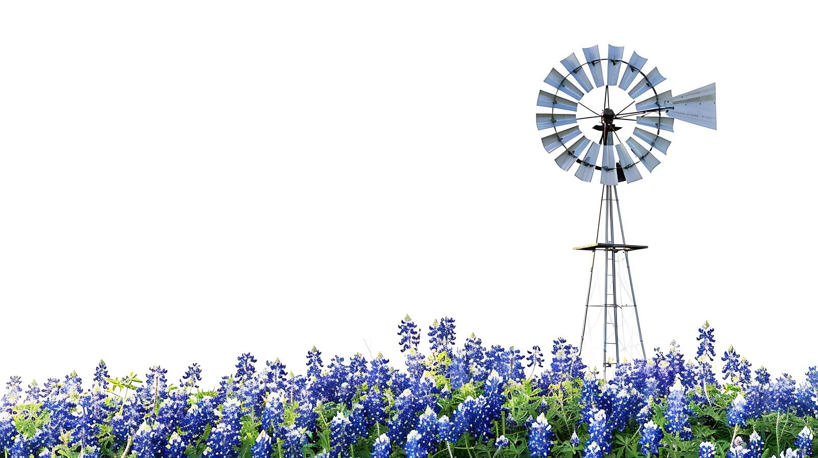 Iconic Windmill in Texas Hill Country — free download from Dotvec