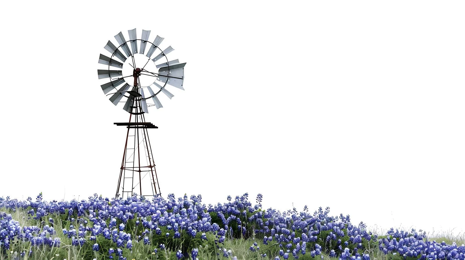 Scenic Windmill and Bluebonnets in Texas — free download from Dotvec
