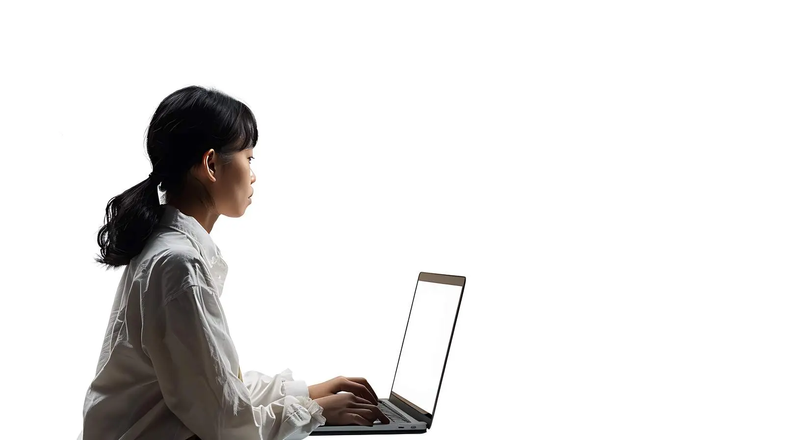 Businesswoman Shopping Online with Laptop — free download from Dotvec