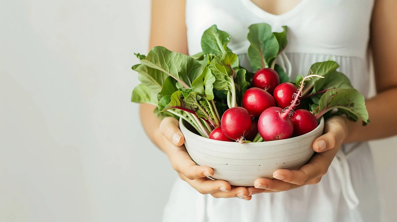 Fresh Radish Harvest — free download from Dotvec