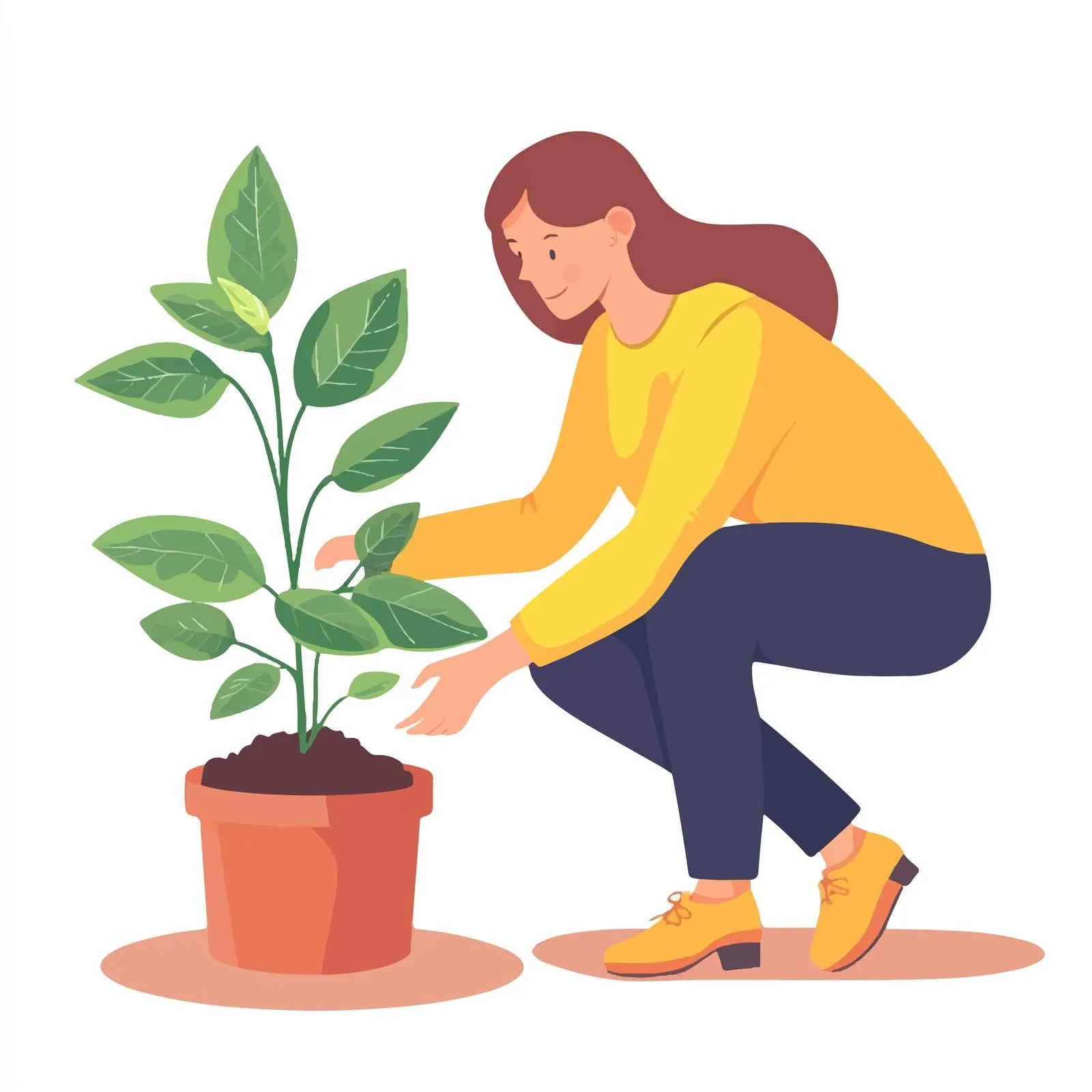 Woman Replanting A House Plant — free download from Dotvec