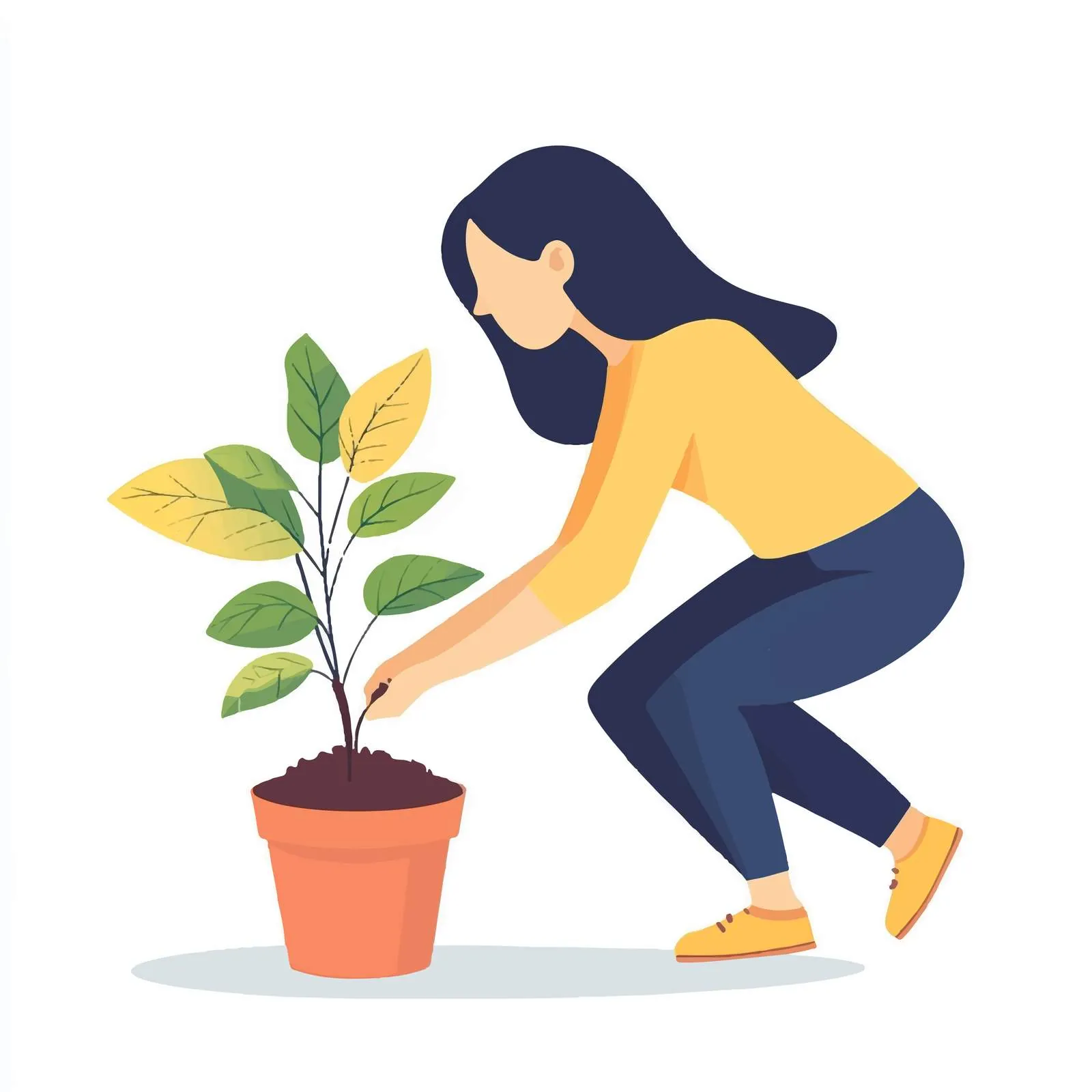 Woman Replanting House Plant with Soil – free potting image from Dotvec