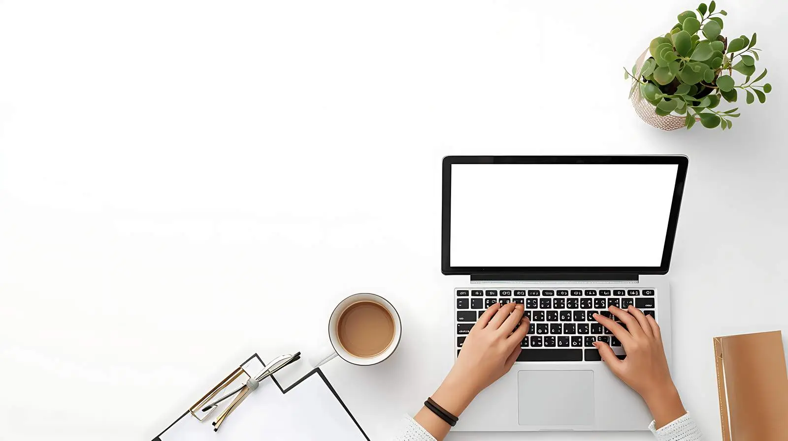 Woman Working on Laptop Computer at Office – free profile image from Dotvec