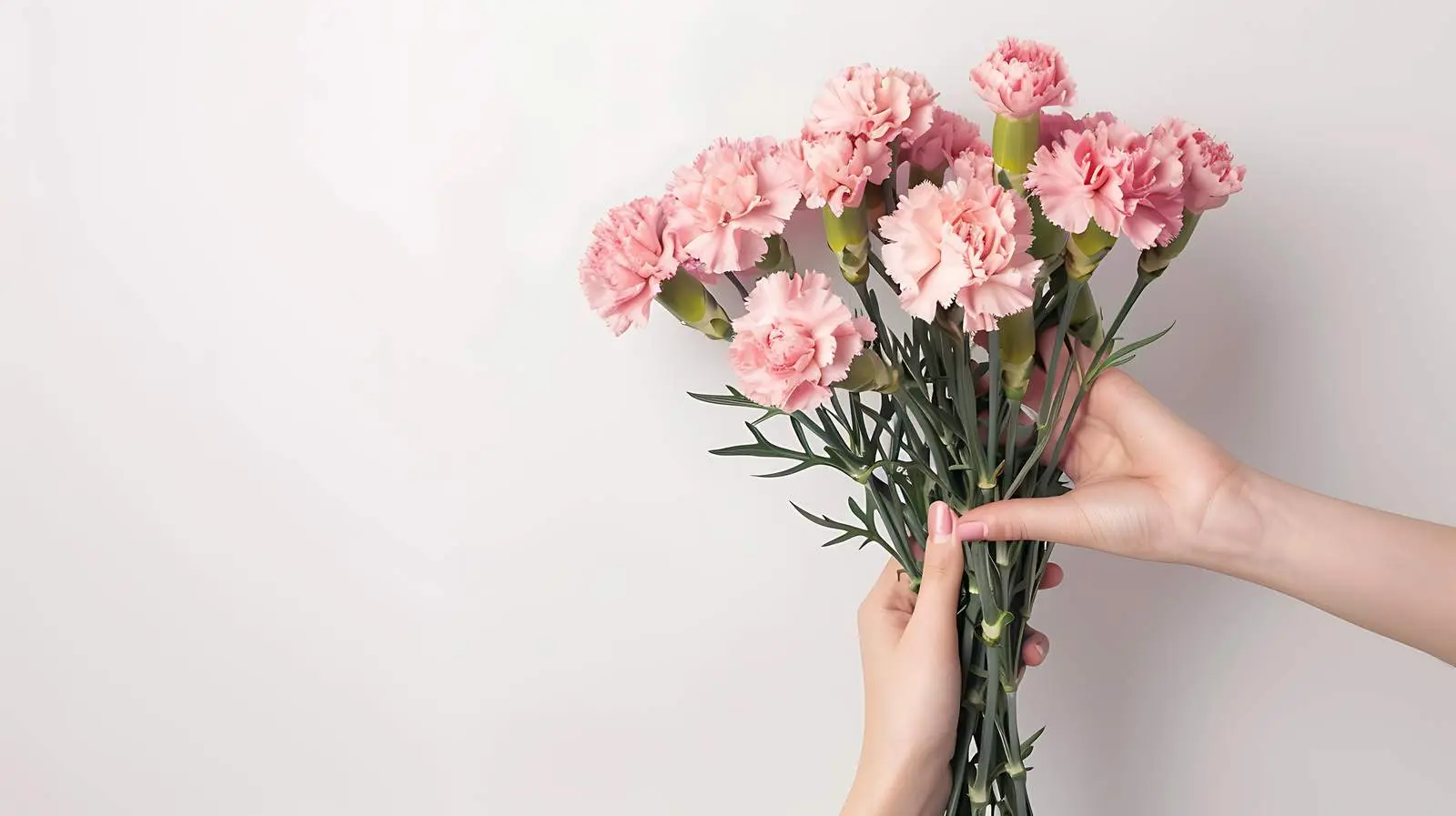 Woman Holding Pink Carnation Bouquet with Minimalist Style – free smile image from Dotvec