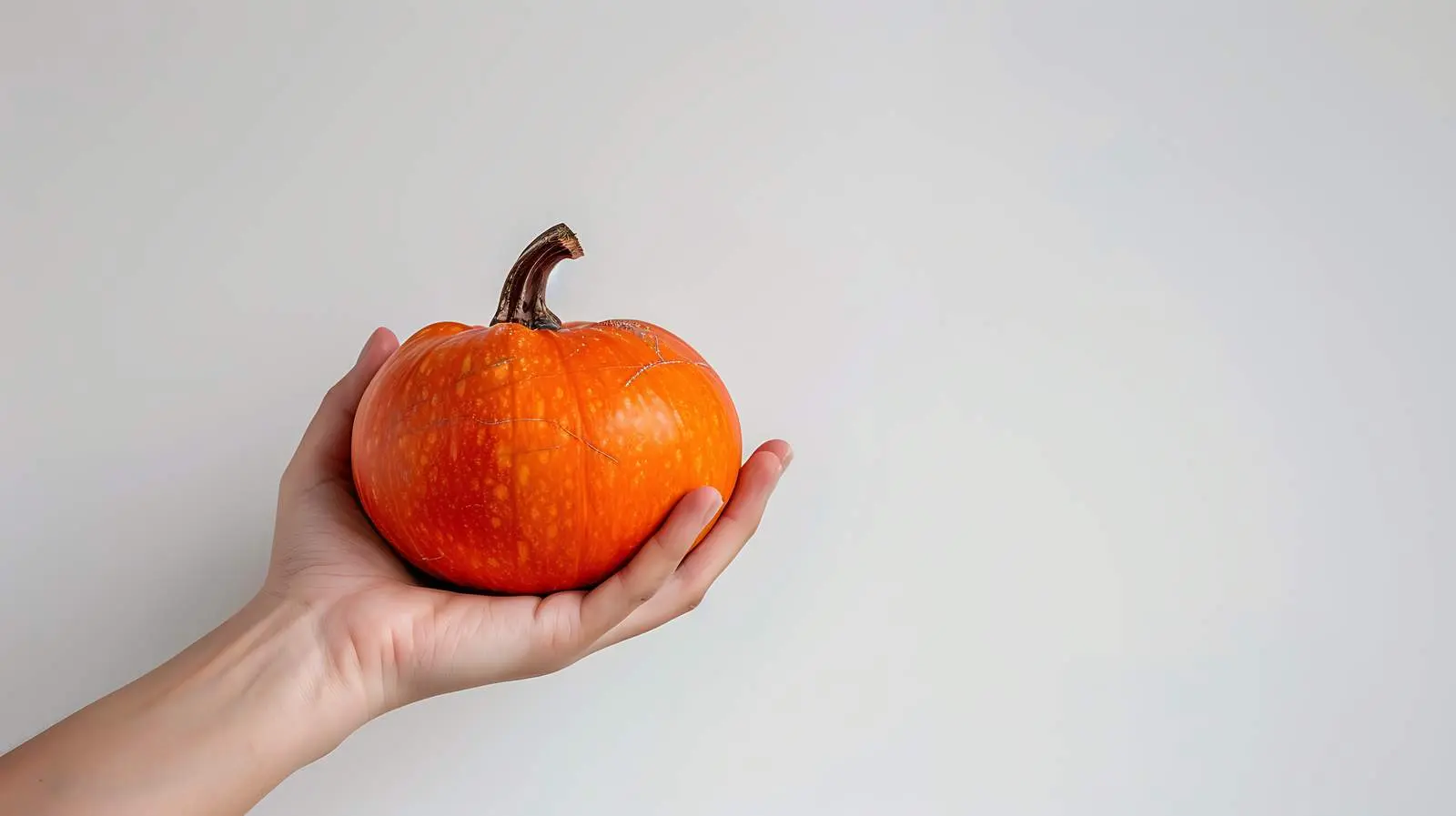Woman Holding Decorative Pumpkin on White Background — free download from Dotvec