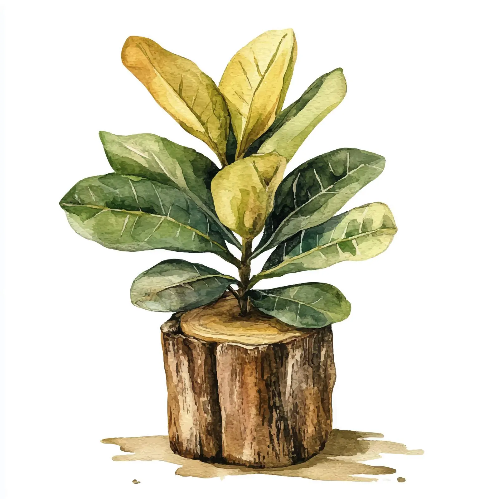 Wood Watercolor Illustration on Isolated Background – free tree design image from Dotvec