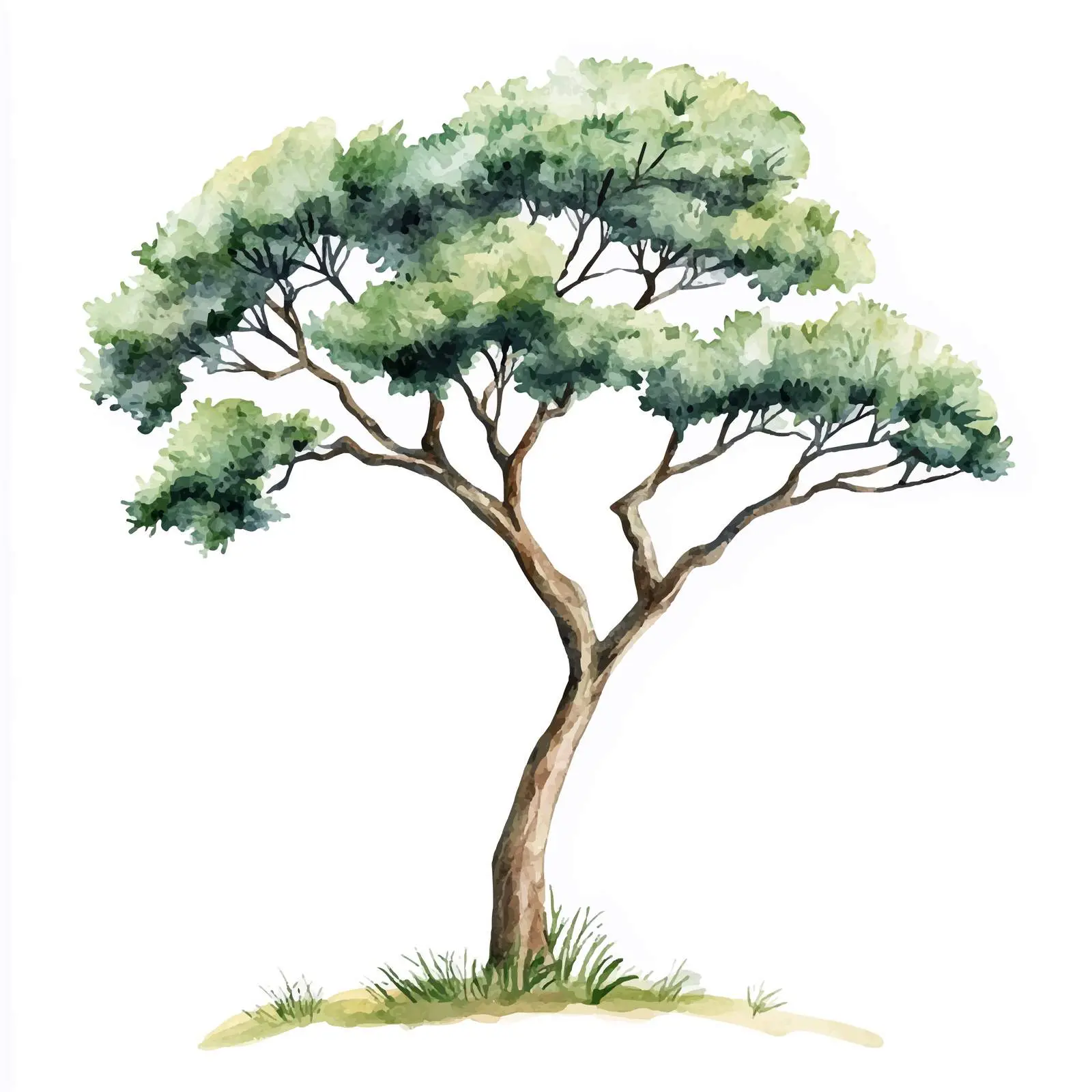 Wood Watercolor Illustration on Isolated Background — free download from Dotvec