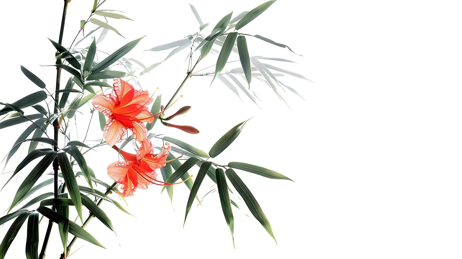 Serene Sunrise Composition — free download from Dotvec