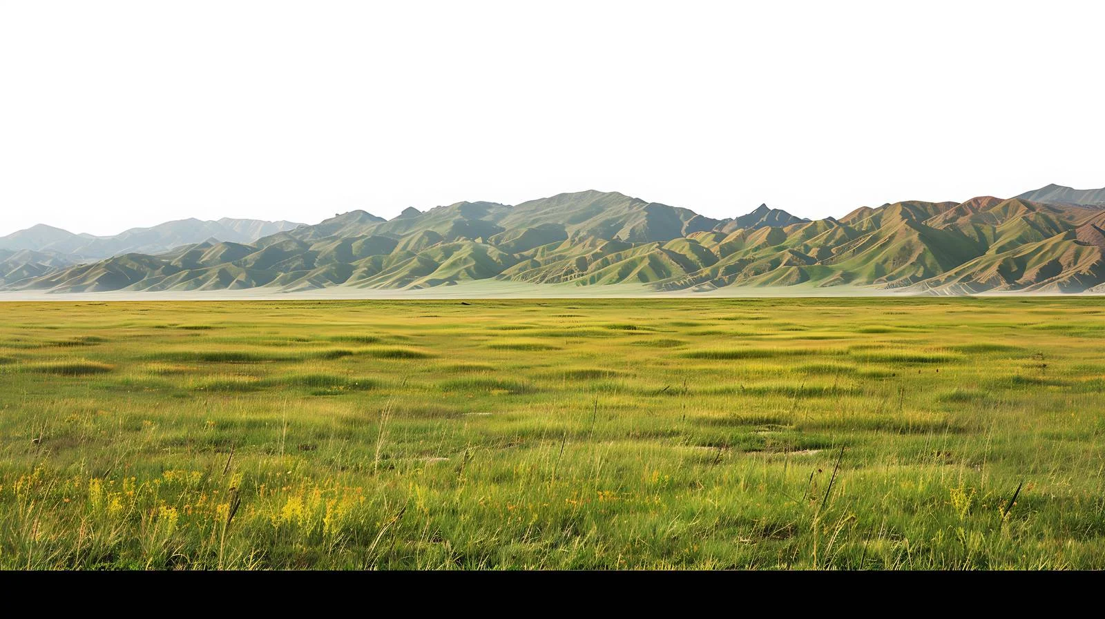 Xinjiang Karajun Grassland on White Background — free download from Dotvec