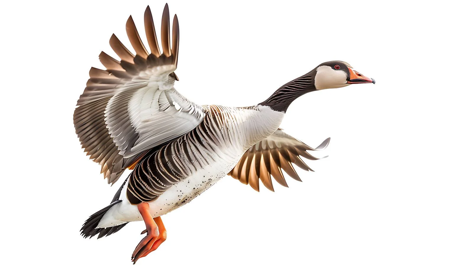 Professional Goose Hunting Scene Illustration — free download from Dotvec