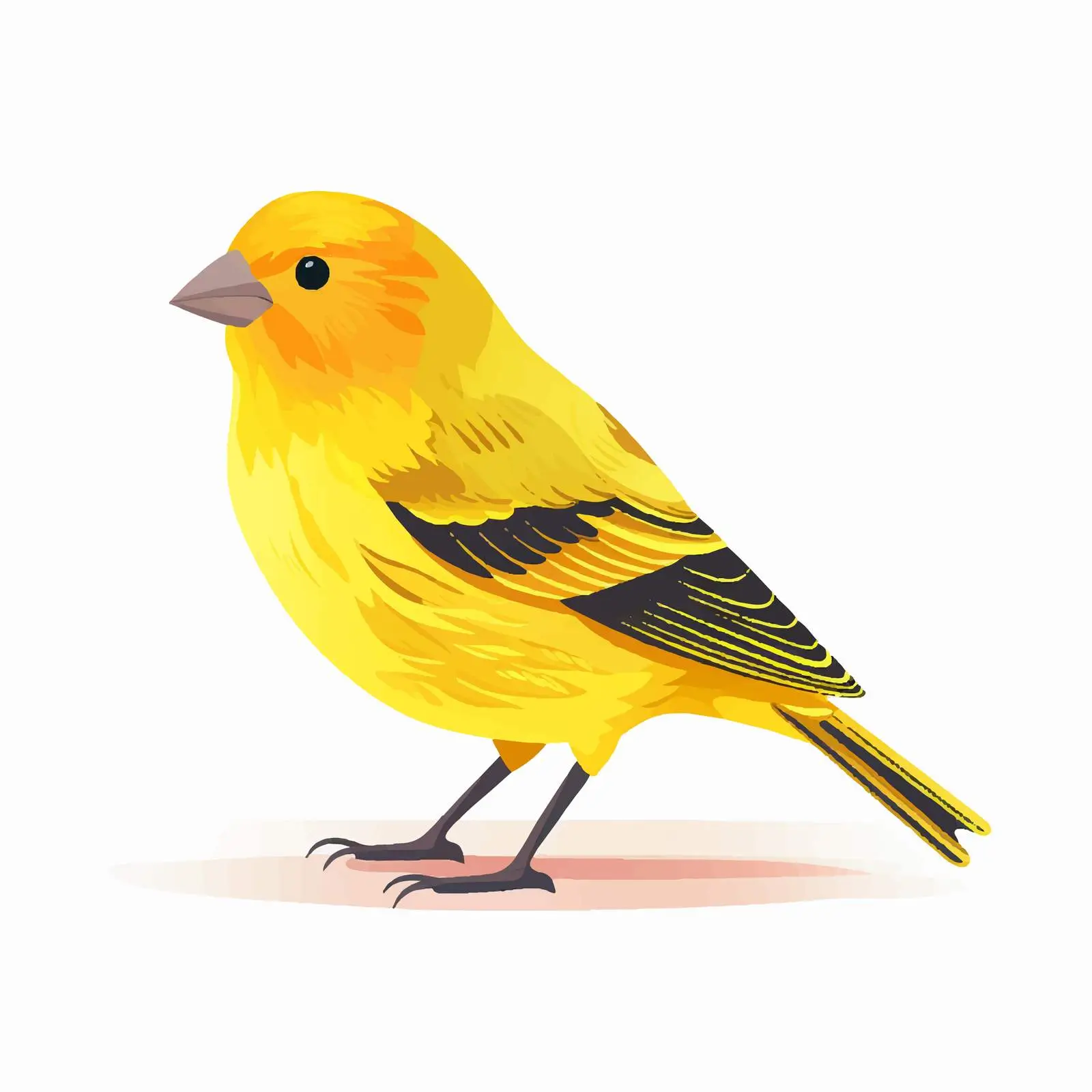 Isolated Yellow Canary on White Background — free download from Dotvec