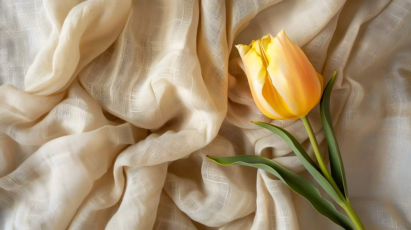 Yellow Tulip on Beige Crumpled Linen Cloth – free positive vibes image from Dotvec