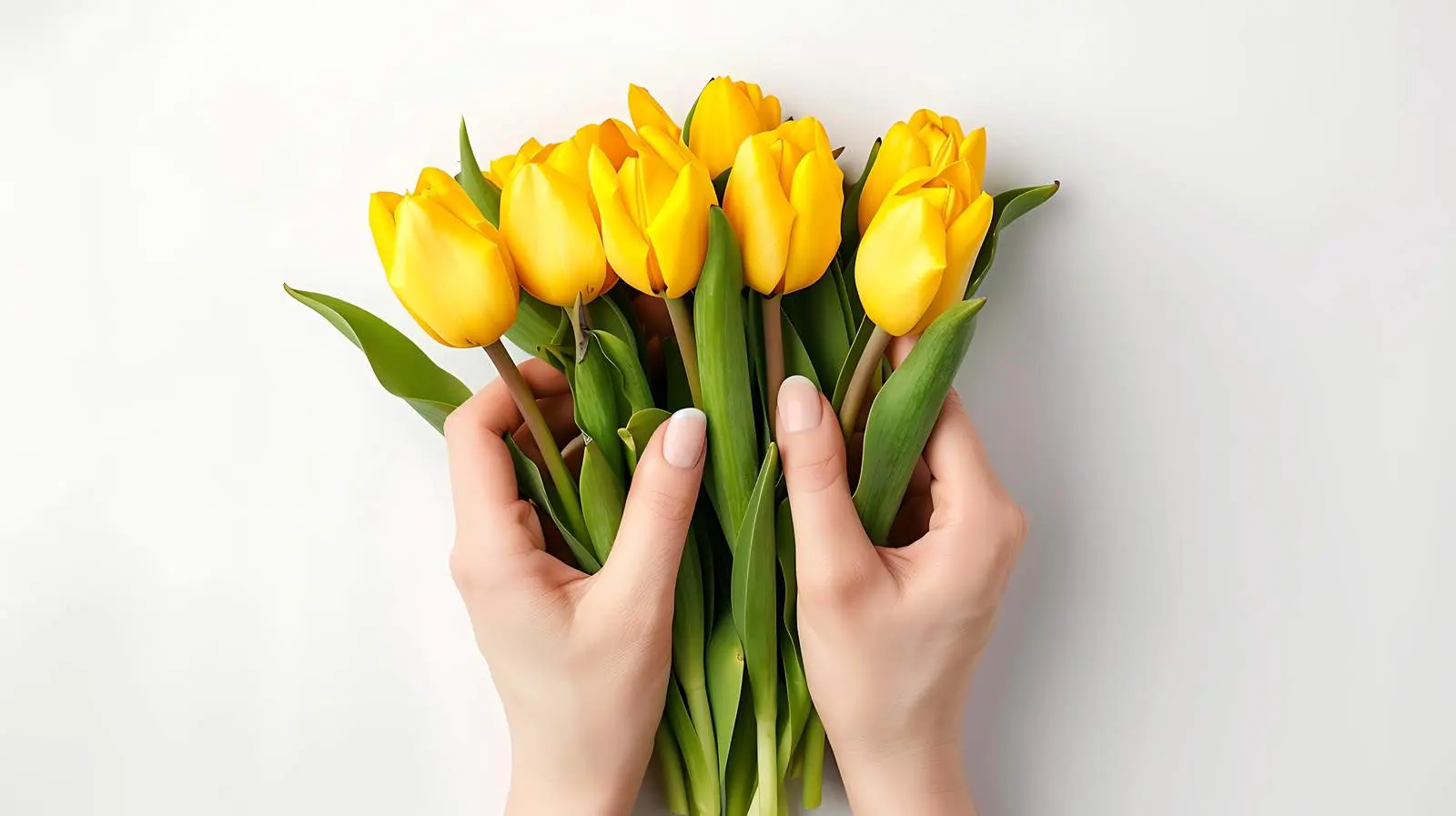 Yellow Tulip Bouquet in Women's Hands — free download from Dotvec