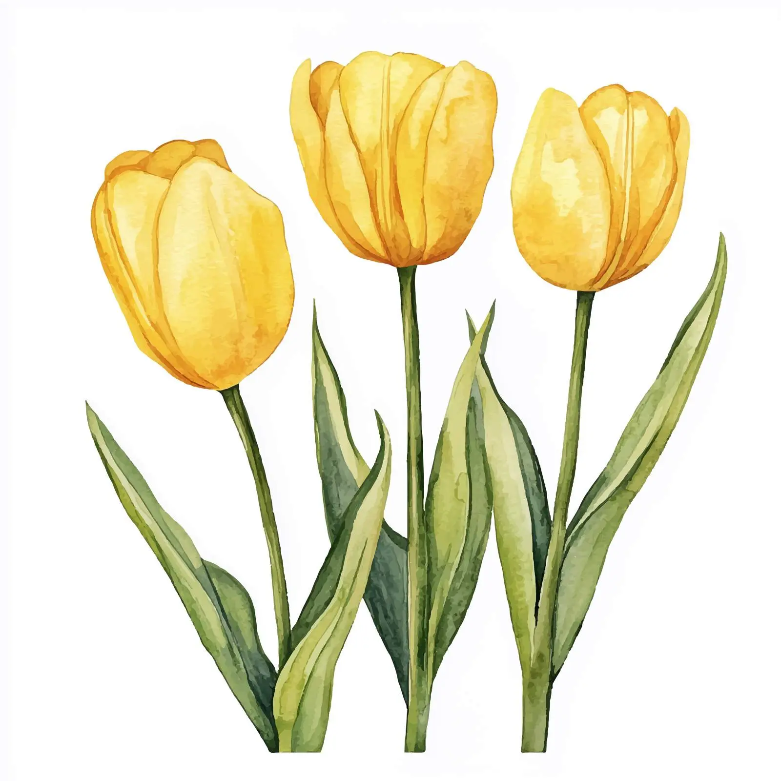 Yellow Tulips Spring Floral Vector Set — free download from Dotvec