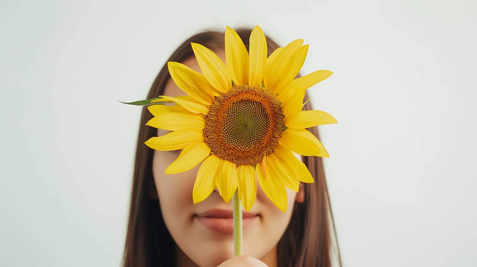 Young Woman Holding Yellow Sunflower on White Background – free positive vibes image from Dotvec