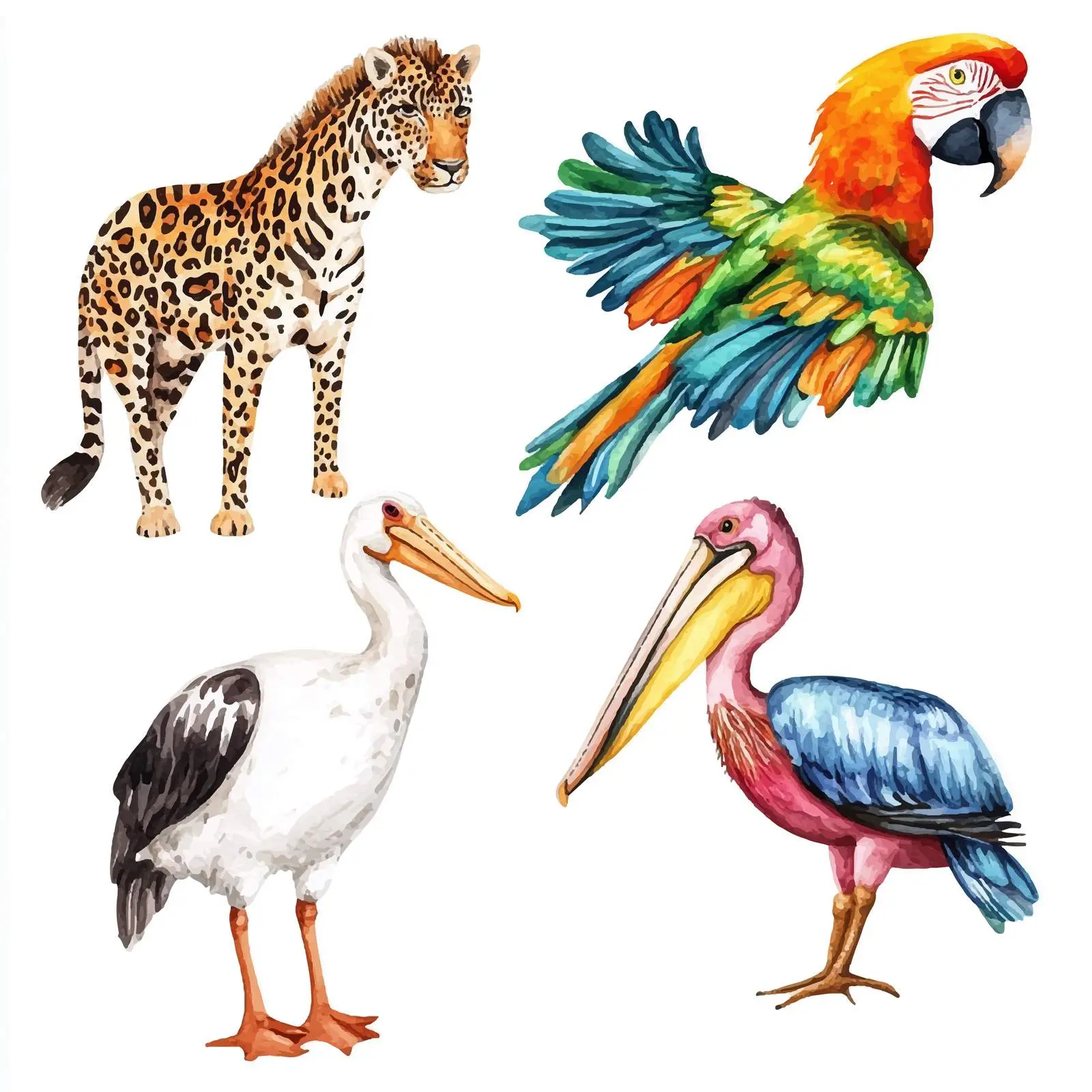 Colorful Animal Watercolor Clipart Set – free zebra image from Dotvec
