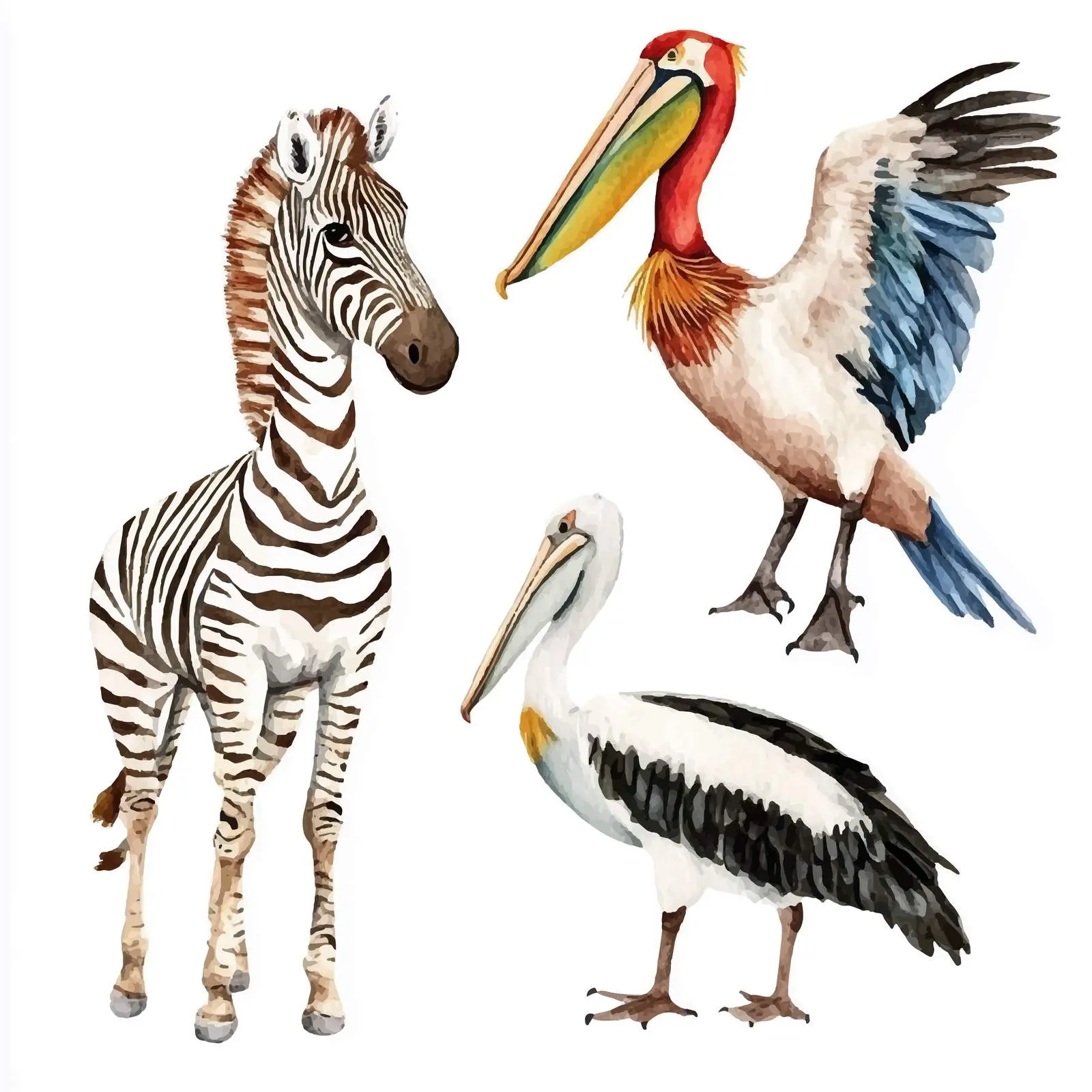 Colorful Watercolor Animals Clipart Collection – free zebra image from Dotvec