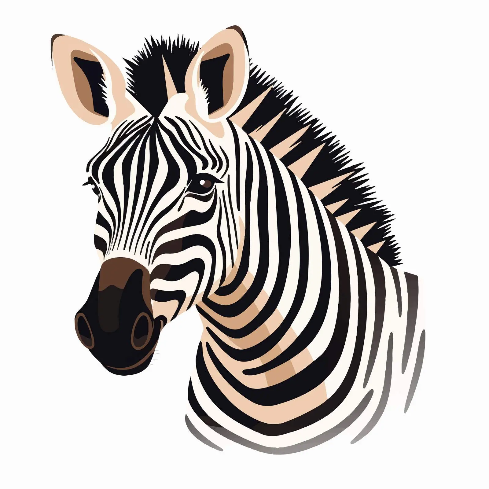 Top View Zebra Vector Illustration on White Background – free zebra image from Dotvec