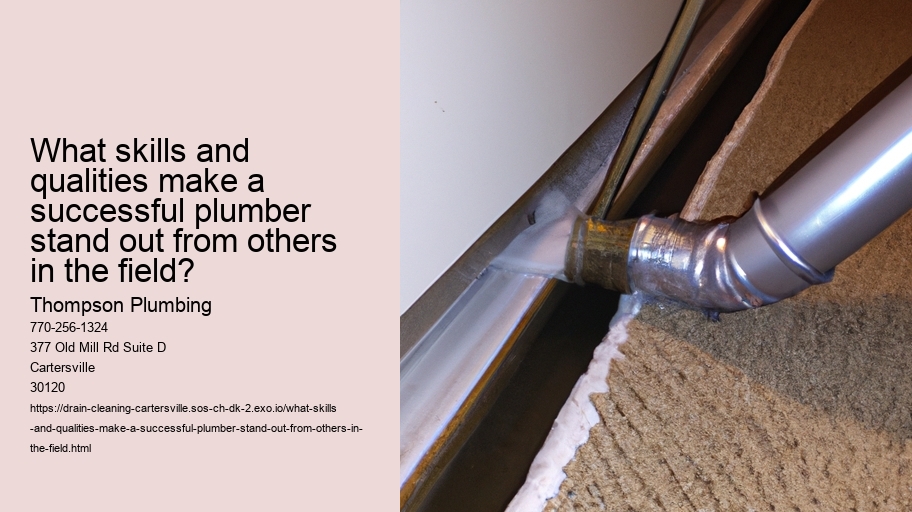 What skills and qualities make a successful plumber stand out from others in the field?