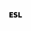 Electro Security Ltd