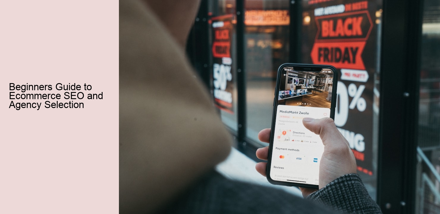 Beginners Guide to Ecommerce SEO and Agency Selection
