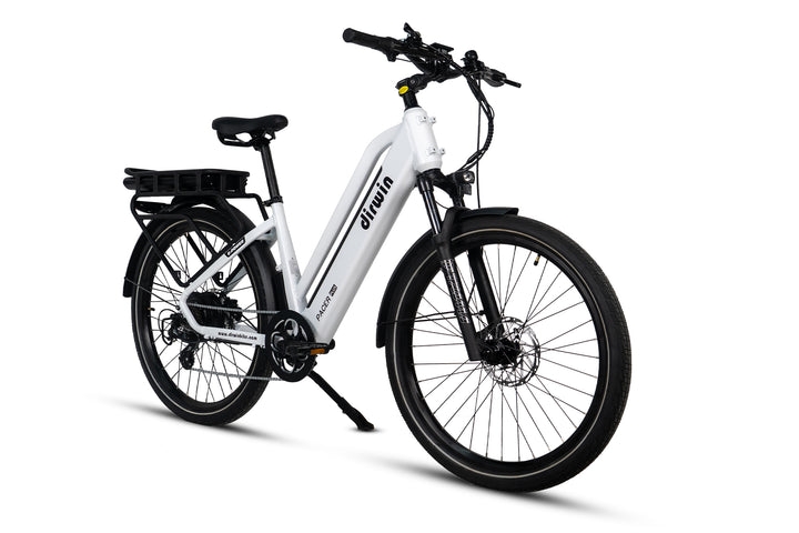 Cargo Ebikes That Bring Families Together