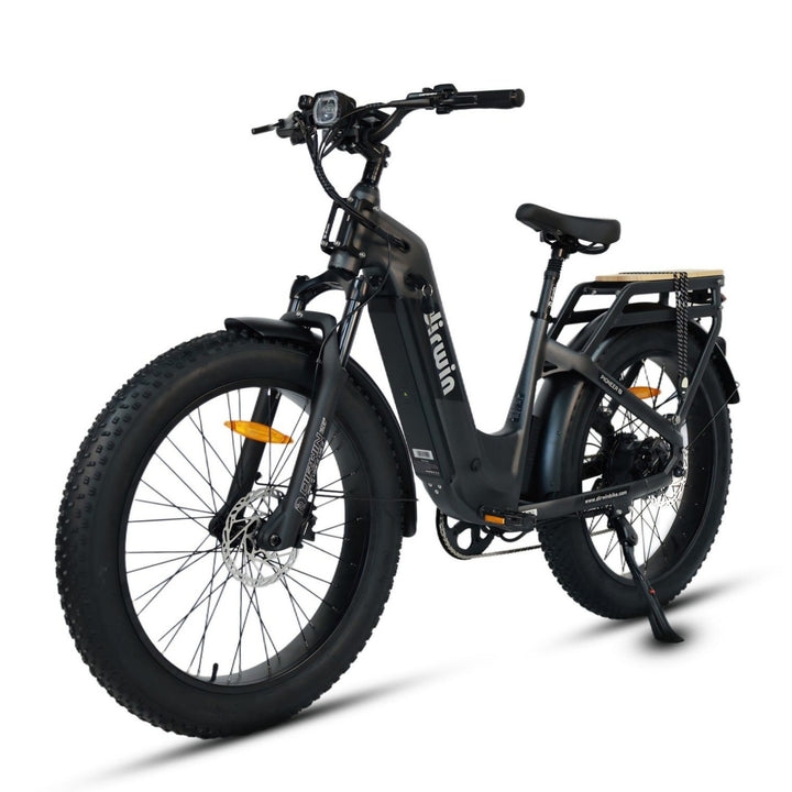 Discover Dirwin Electric Cargo Bikes for Everyday Utility Dirwin Bike Discover Dirwin Electric Cargo Bikes for Everyday Utility