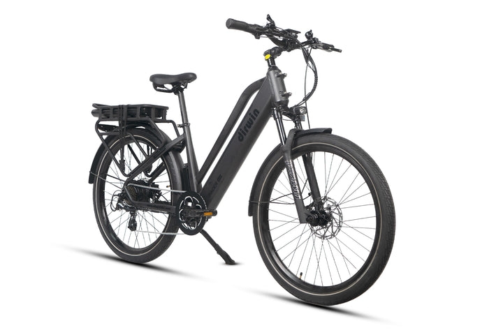 Heavy-Duty Cargo Ebikes with High Weight Capacity Dirwin Bike Heavy-Duty Cargo Ebikes with High Weight Capacity