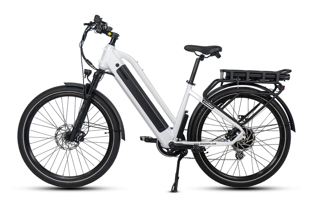 Should I choose a two-wheel cargo ebike or a tricycle?
