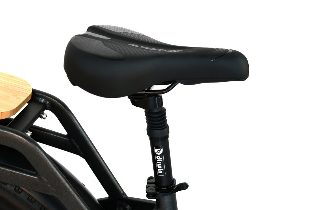 Electric Bikes with Storage Baskets and Compartments