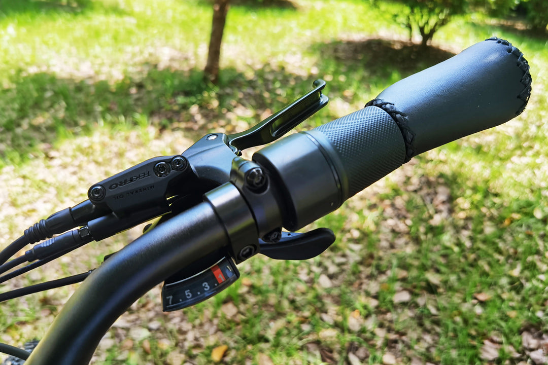 Can Dirwin eBikes handle remote forest trails?