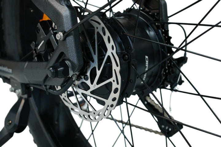 Is Pioneer Lite efficient for budget hunters?