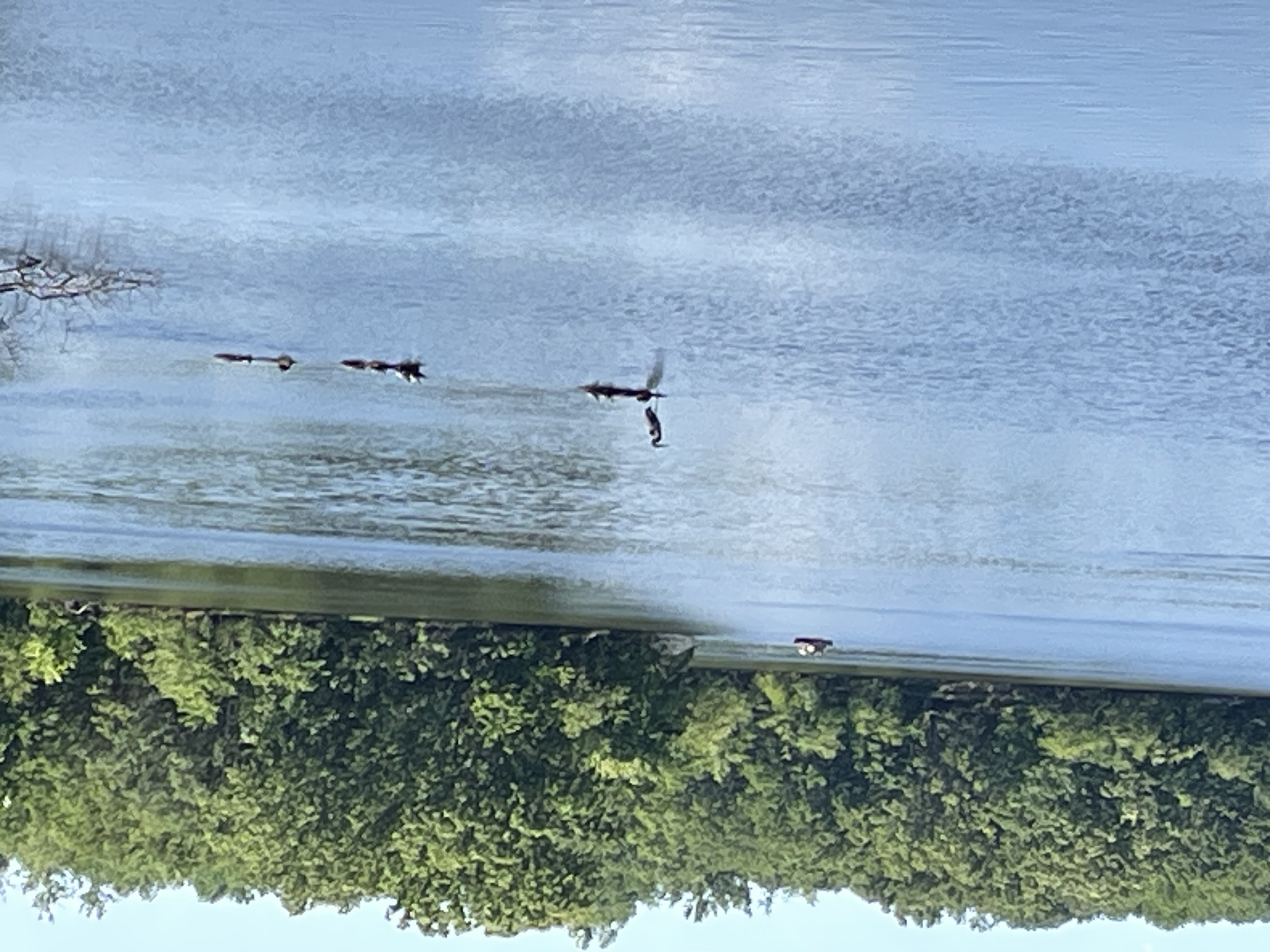 Perry Lake, Missouri