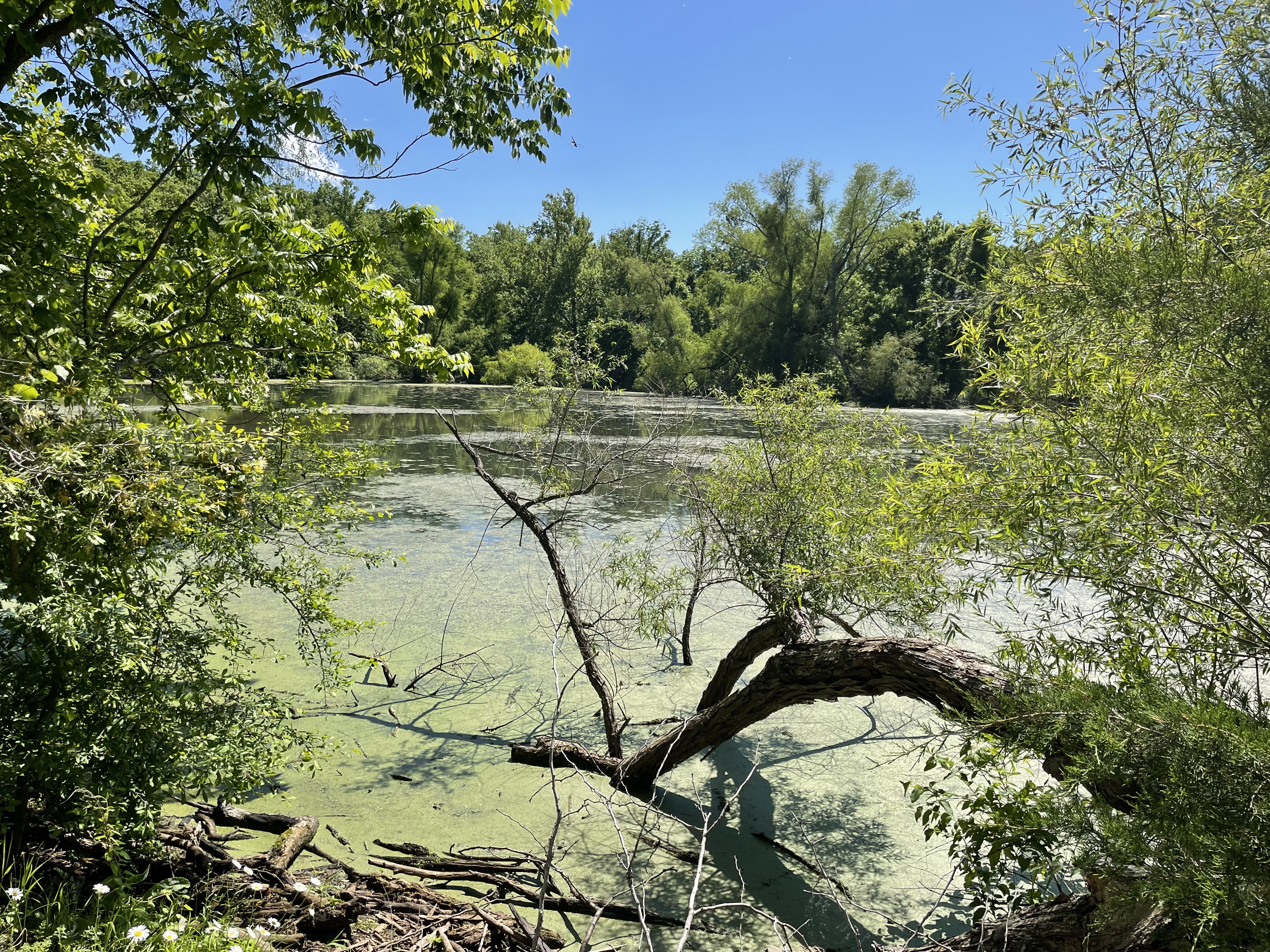 Perry Lake, Missouri
